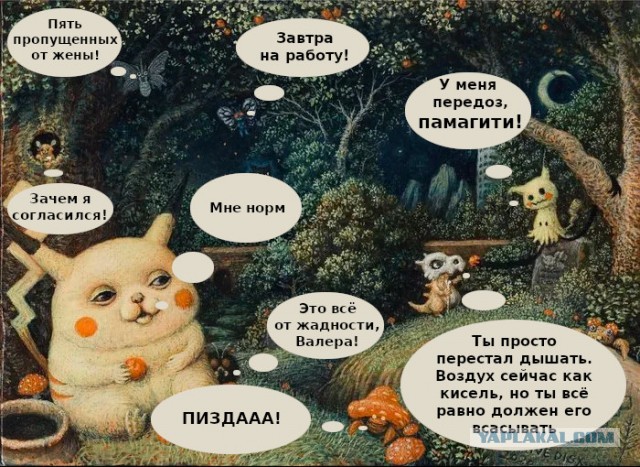 Прикольные и просто красивые картинки 22.02.2024