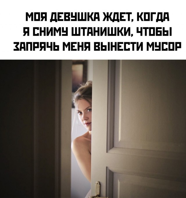 Весёлый полтишок 04.10.2024