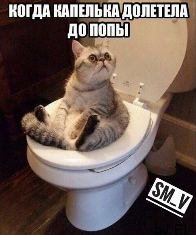 Процесс изготовления поролона