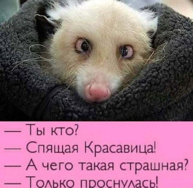 Смехотерапия. Весёлые картинки
