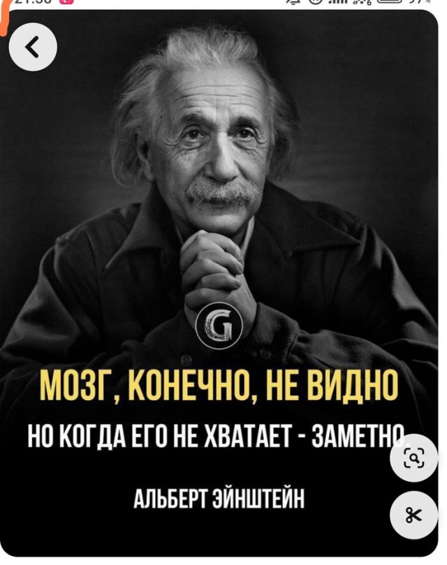 Прикольные и просто красивые картинки 31.12.2024