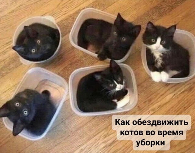 Так себе картинки 27.02.25