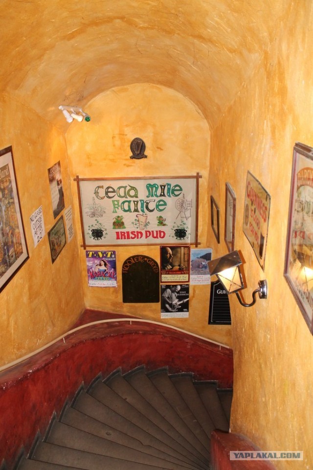 В Германию на сертификацию.