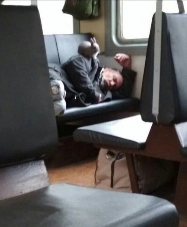Прикольные и просто красивые картинки 30.05.2025