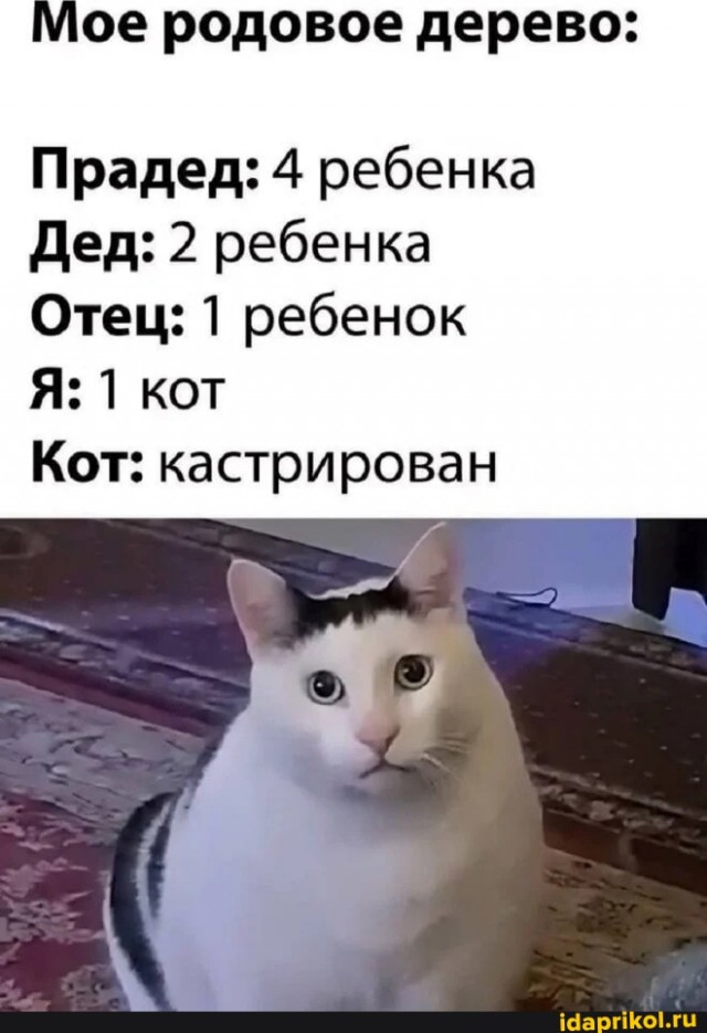 А чего это молодёжь то такая нежная?