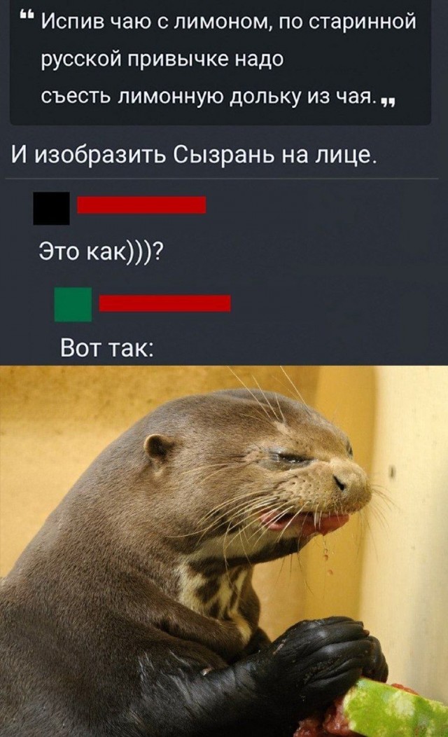 Идеальный гражданин