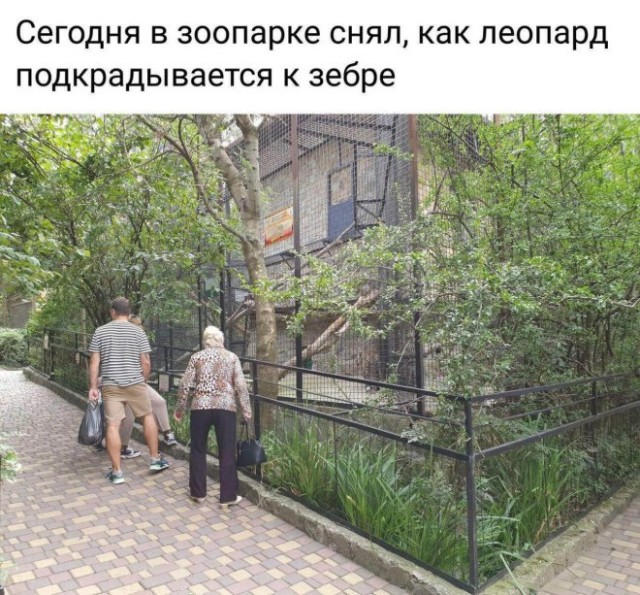 Веселые картинки в пятницу (01.08)