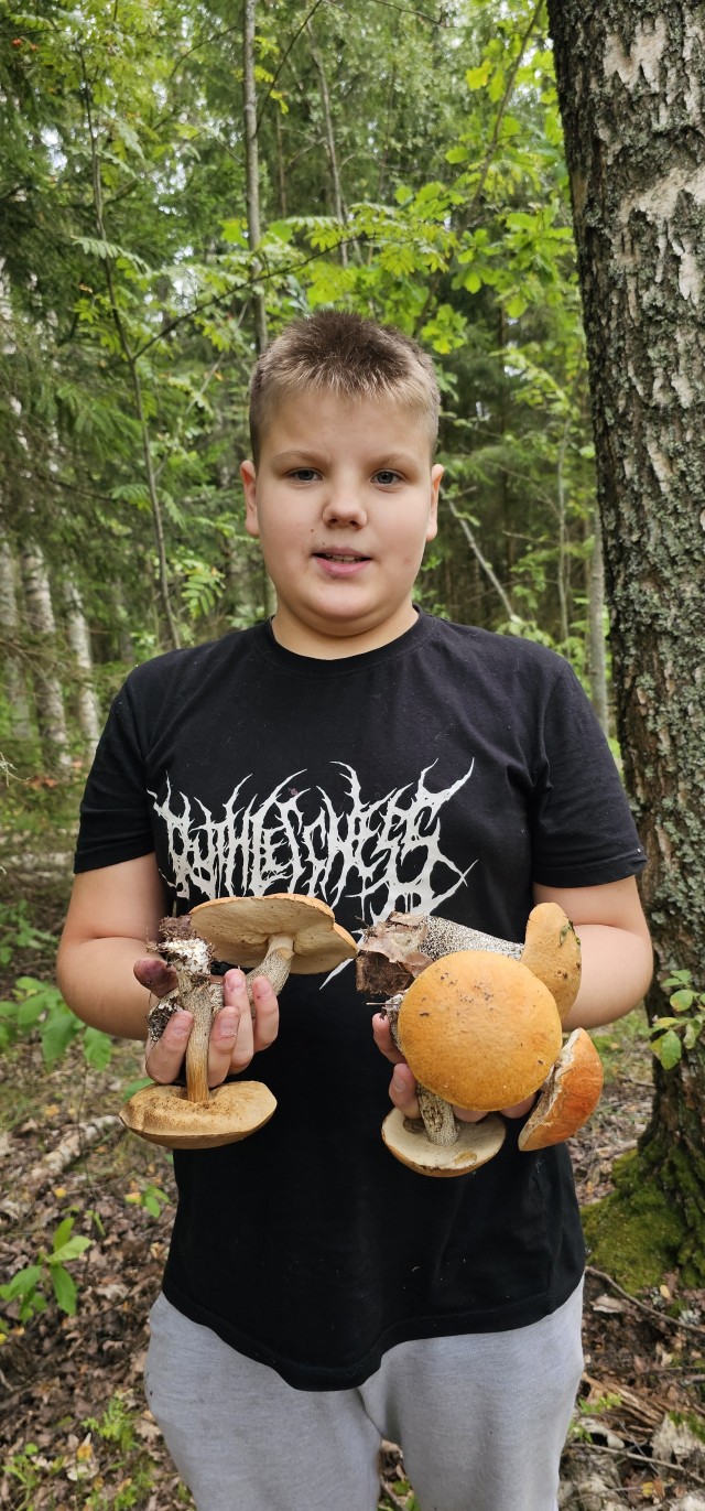 Грибов.есть