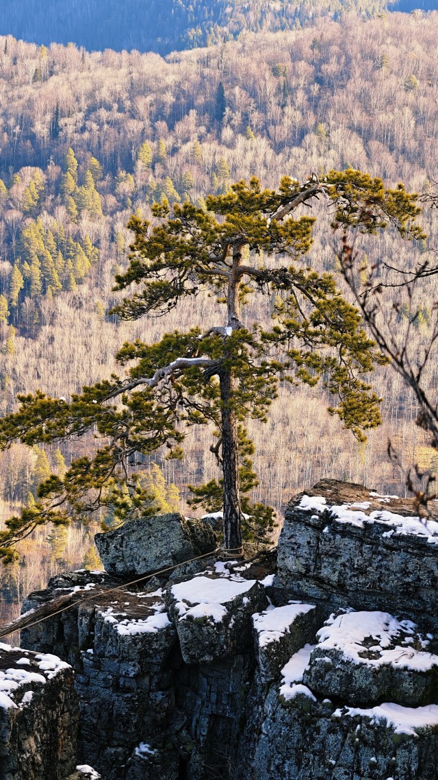 Айгир