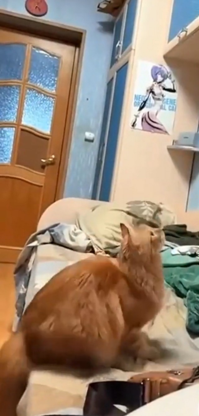 Достал коробку