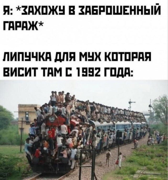 Маленькая пятница 24.12