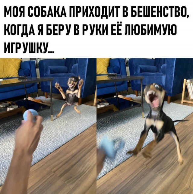 Так себе картинки 31.12.25