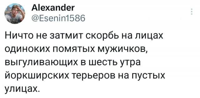 Картинки на кануне Рождества.
