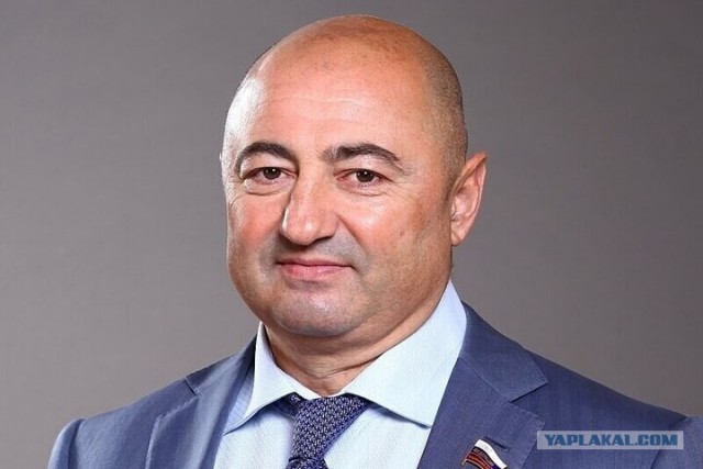 Сенатор Вайнберг, досрочно сложивший полномочия, отправится на СВО
