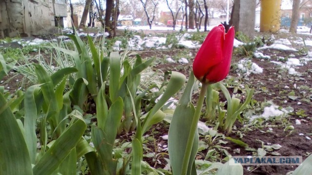 39 необычных фотографий, которые должны вам понравиться