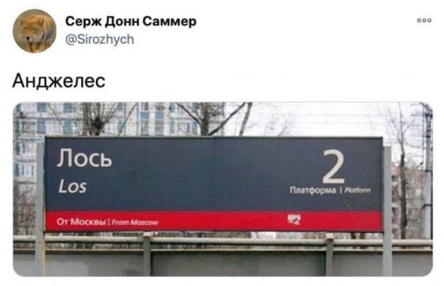 Веселые картинки в пятницу (10.04)