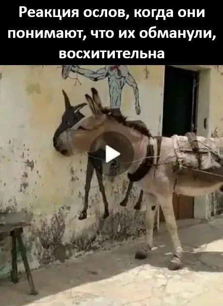 Про ослов