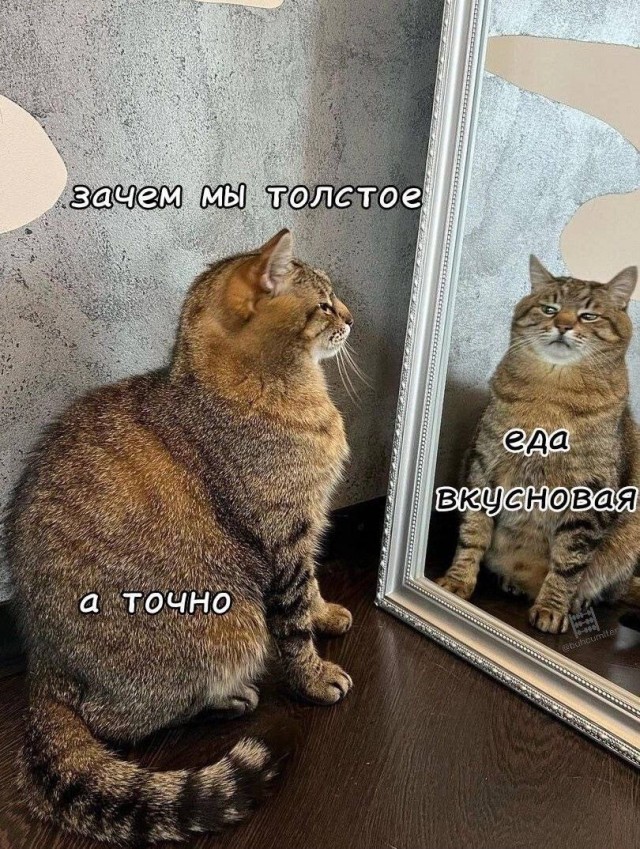 Так себе картинки 22.06.26