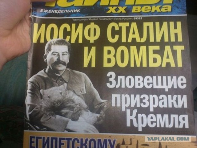 Америка умирает, шансов выжить нет