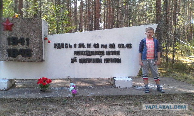 Практическая стрельба (IPSC, МКПС)