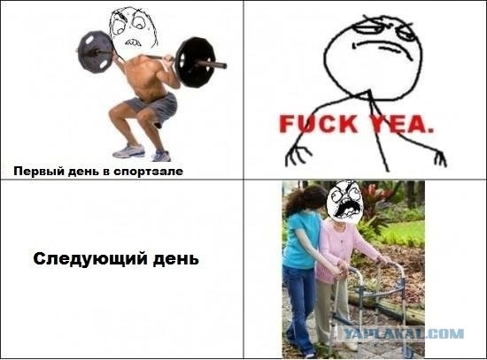 Первый день в спортзале!