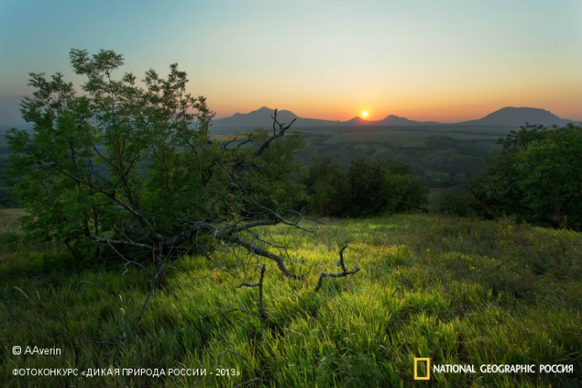 National Geographic,избранное...