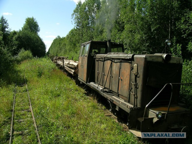Лучшие железнодорожные фото 2014