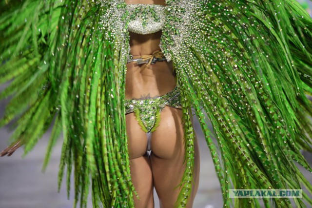Весь блеск бразильского карнавала