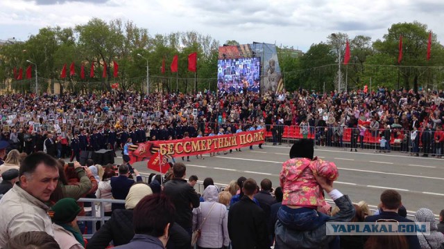 Армия бессмертного полка