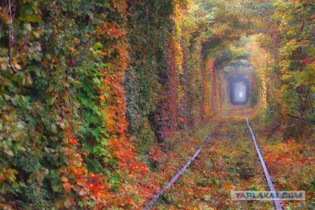 17 фотографий