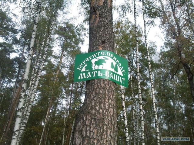 Маразмы и просто занятные фото