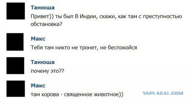 Смешные комментарии из социальных сетей