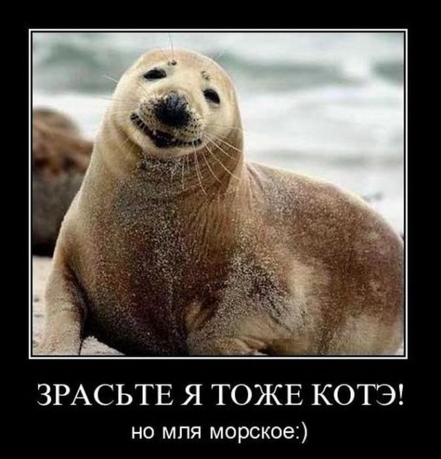 Когда кто-то плюсует твой заминусованый пост