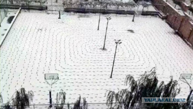 Художник целыми днями