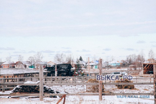 Сгорела конюшня..