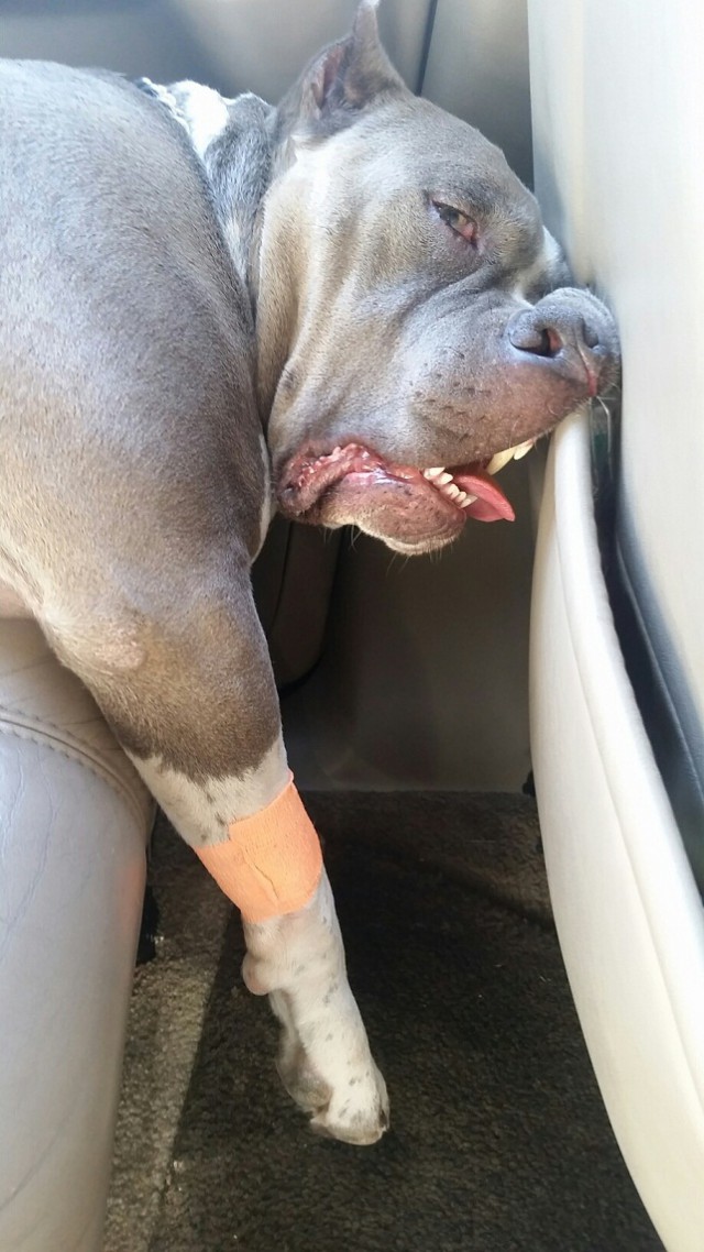 Подборка интересных и смешных картинок