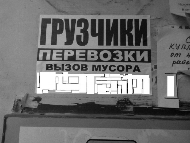 Интересные и веселые картинки