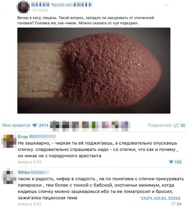 Картинки с интернетов
