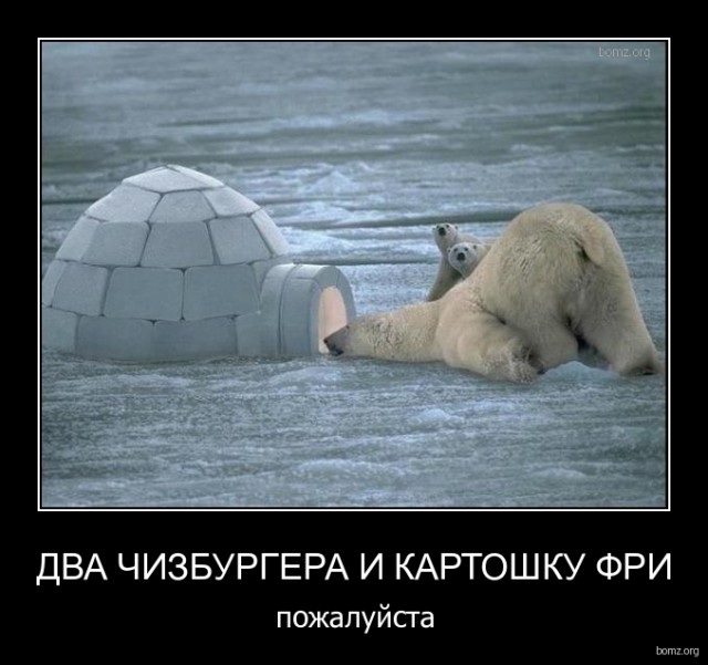 Подборка интересных и веселых картинок