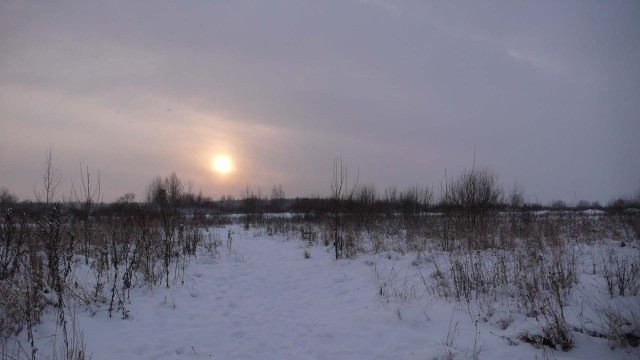 А давайте делиться красивыми закатами