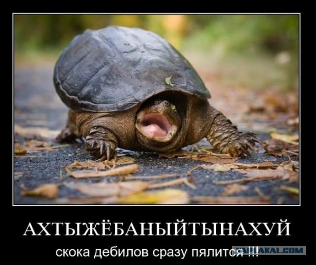Когда попа как орех