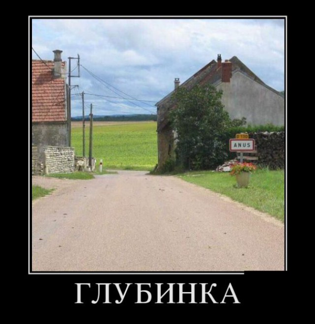 Прикольные картинки 23.06.2017.