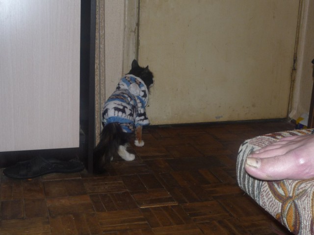 Позорно из соцсетей