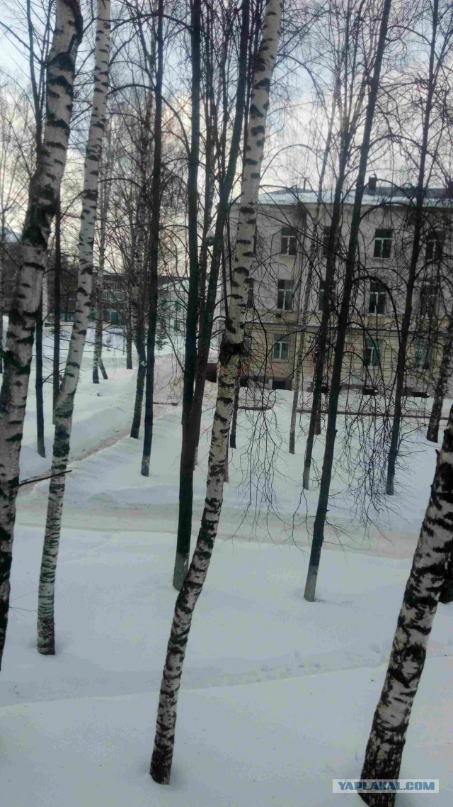 Очень хочется жить