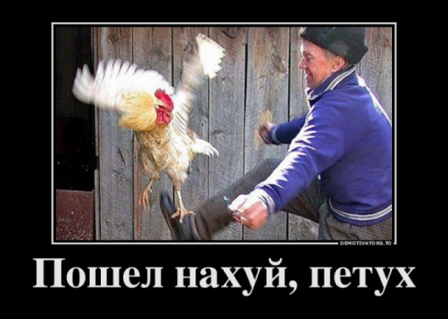 Пожар в ТЦ "Зимняя Вишня", Кемерово