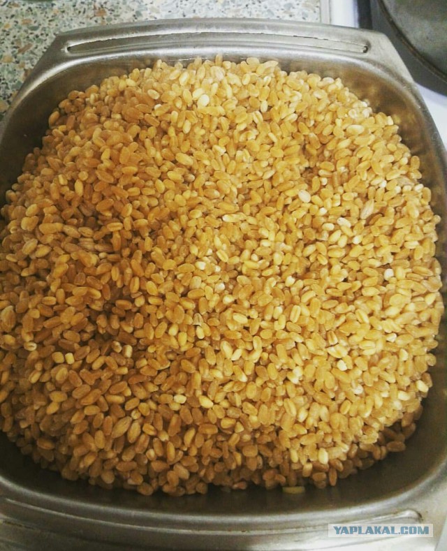 Плов из пшеницы / Бугдай плов /