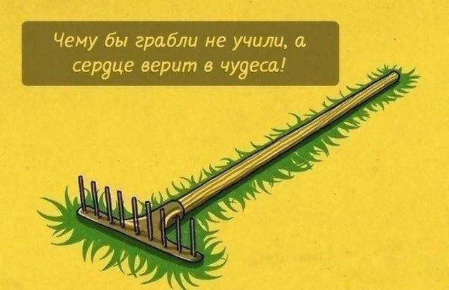 Еще немного мусолю по поводу повышения пенсионного возраста ( теперь с цифрами статистики )