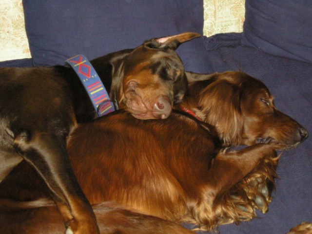 Средопсы!