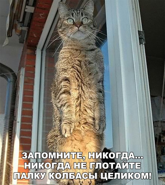 Нестандартный юмор