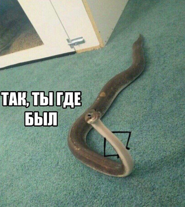 "Мне только спросить!"